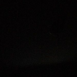 Meet your Posher, Logan